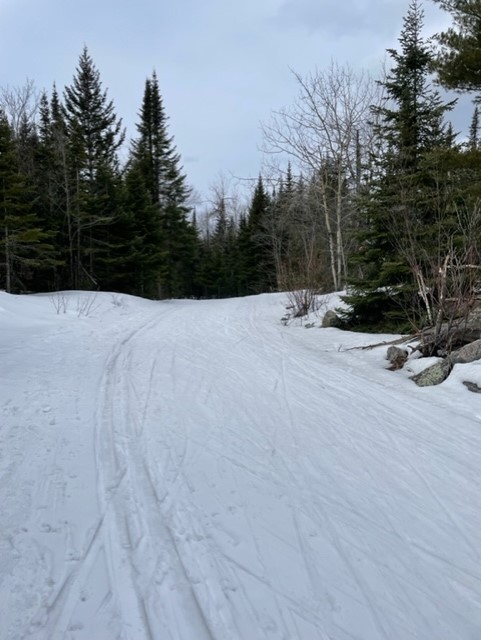 Trail 1 between Wolf and McKinstry